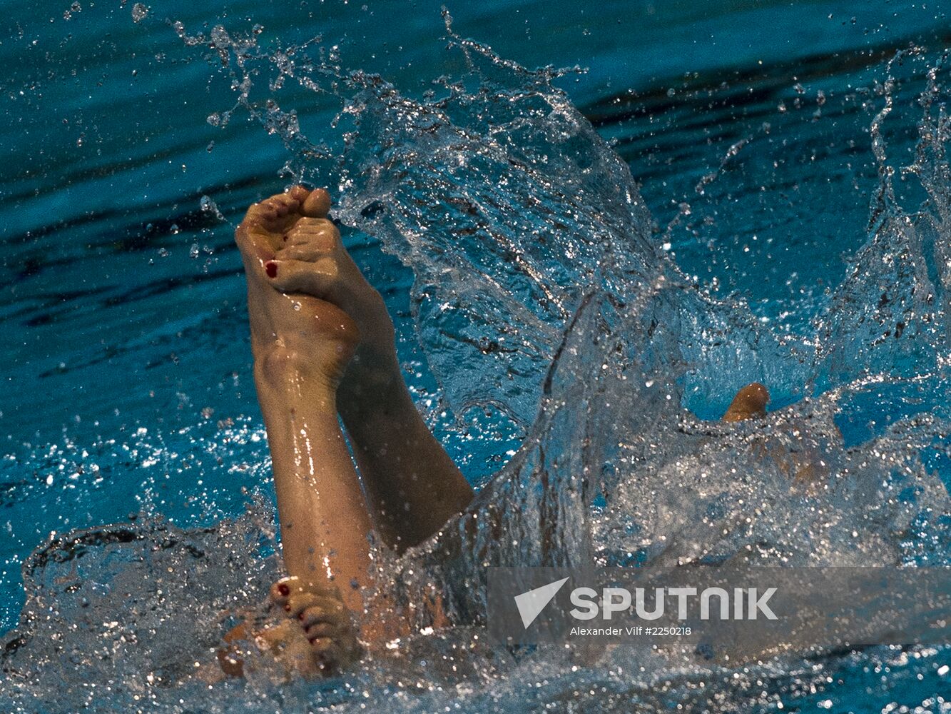 FINA World Aquatics Championships. Synchronized swimming. Duet