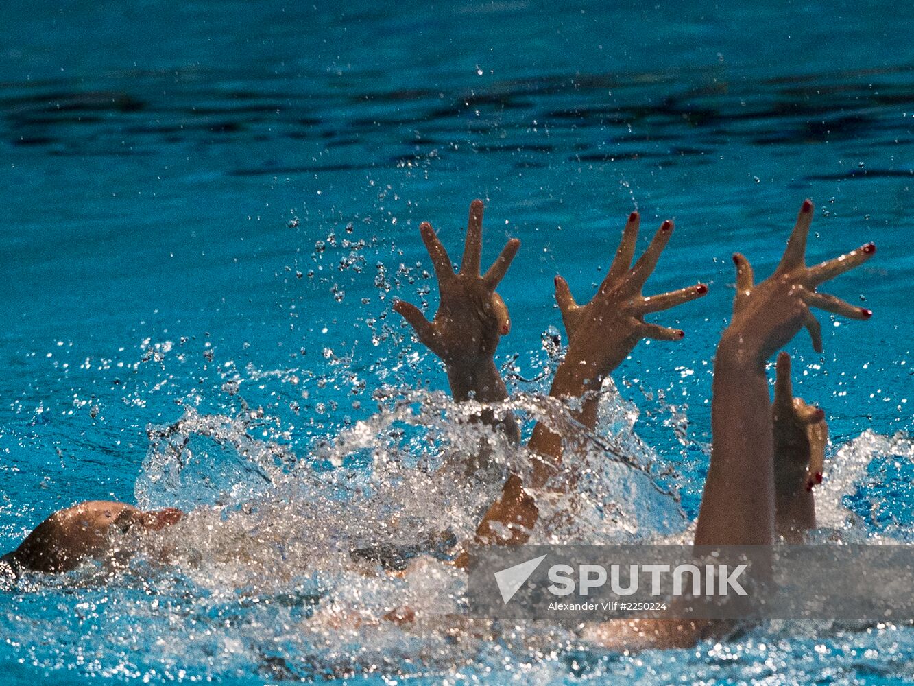 FINA World Aquatics Championships. Synchronized swimming. Duet