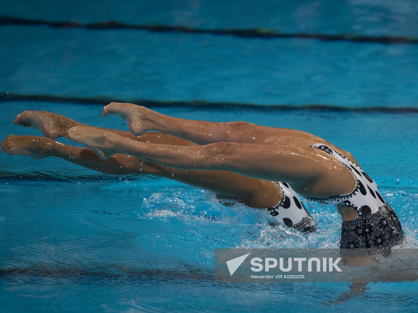 FINA World Aquatics Championships. Synchronized swimming. Duet