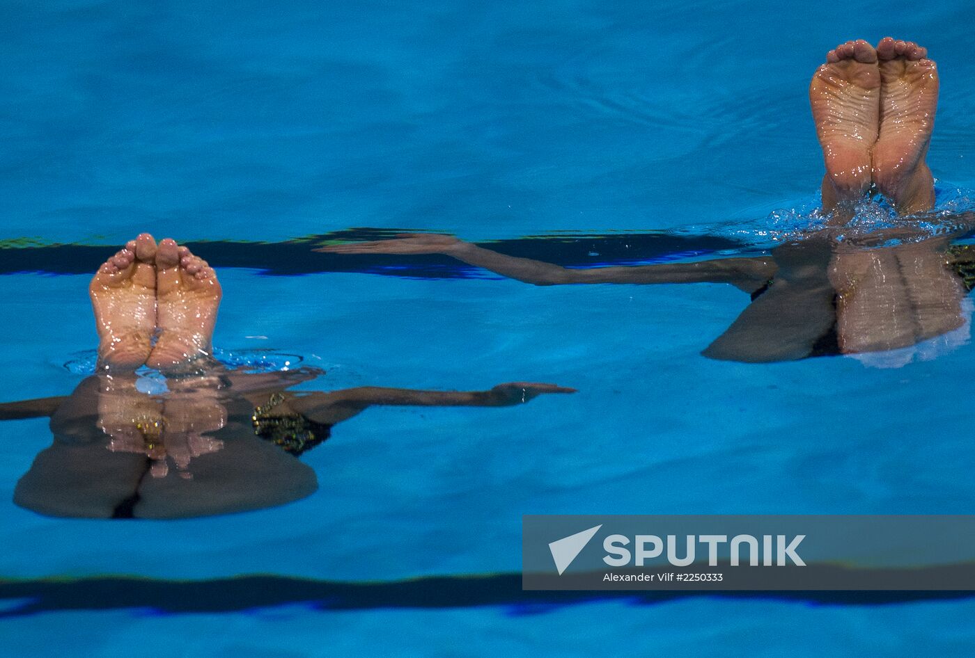 FINA World Aquatics Championships. Synchronized swimming. Duet