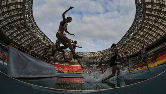 Athletics. Russian Championship