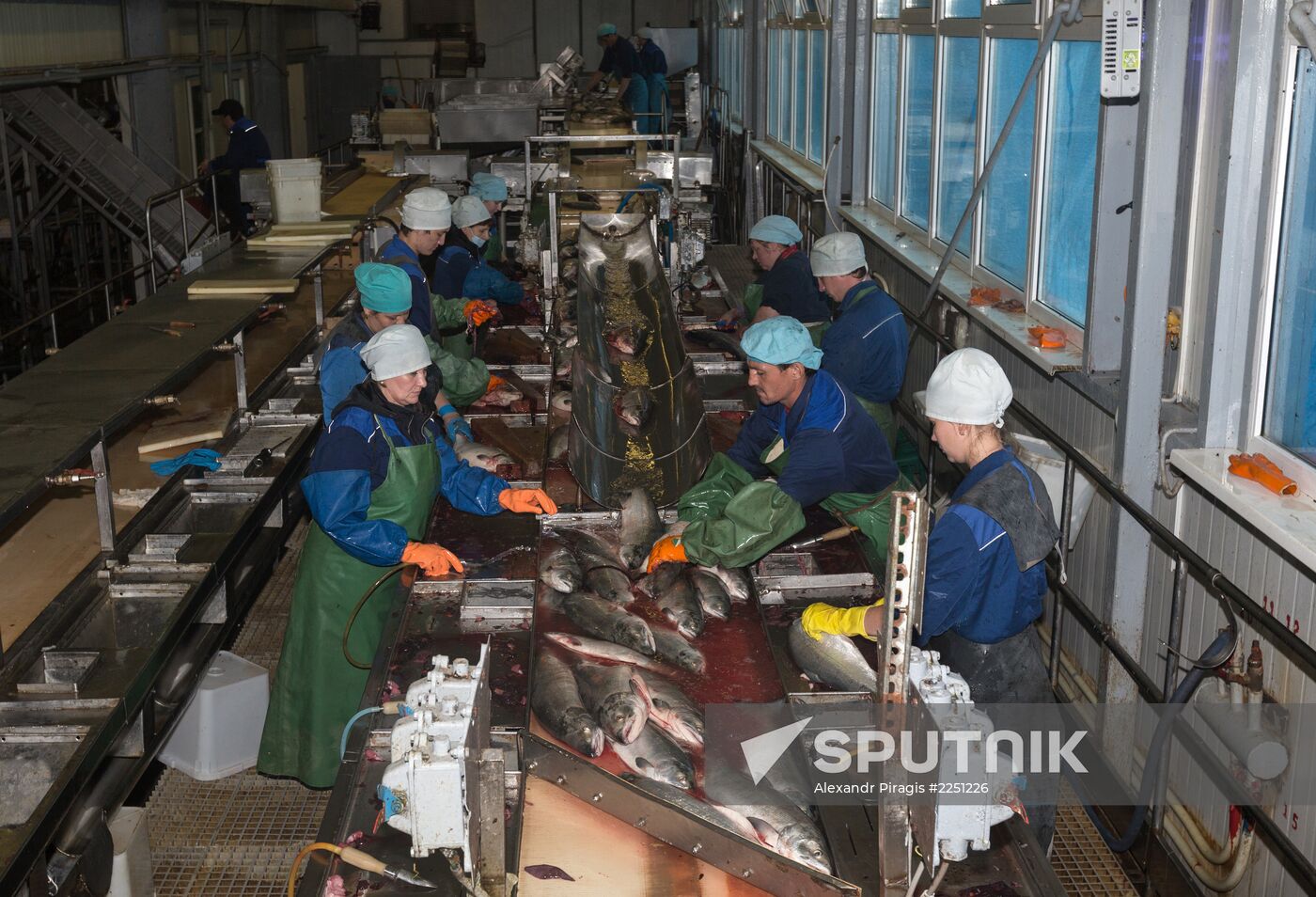 Production of caviar at a fishing collective farm on Kamchatka