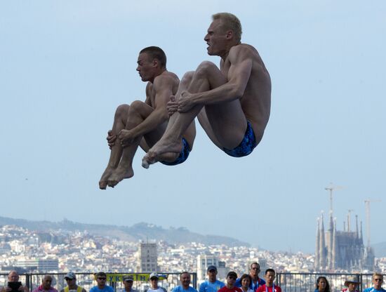 FINA World Aquatics Championships. Day 4. Synchronized diving.