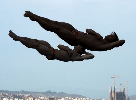 FINA World Aquatics Championships. Day 4. Synchronized diving.