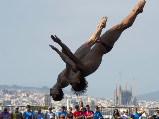 FINA World Aquatics Championships. Day 4. Synchronized diving.