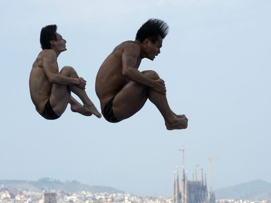 FINA World Aquatics Championships. Day 4. Synchronized diving.