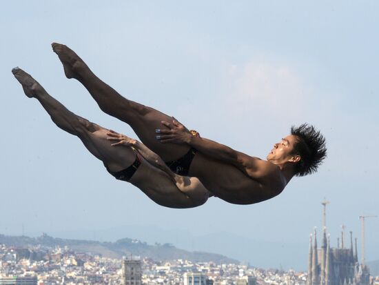FINA World Aquatics Championships. Day 4. Synchronized diving.
