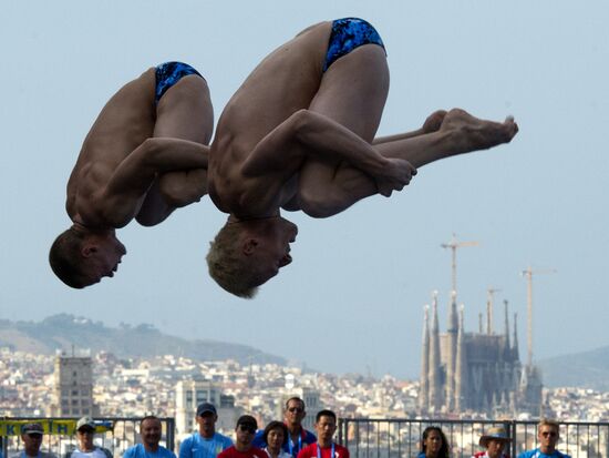 FINA World Aquatics Championships. Day 4. Synchronized diving.