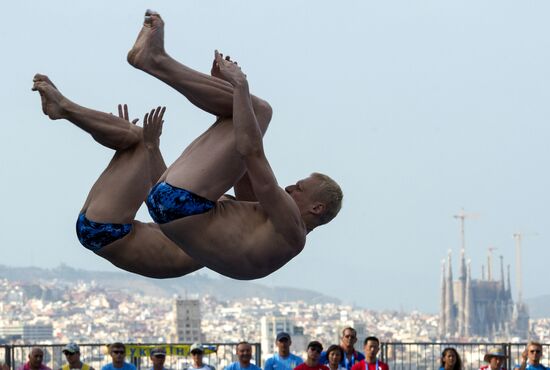FINA World Aquatics Championships. Day 4. Synchronized diving.
