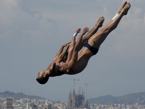 FINA World Aquatics Championships. Day 4. Synchronized diving.