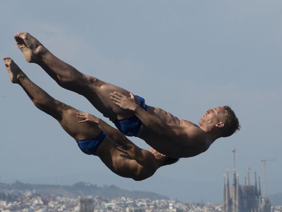 FINA World Aquatics Championships. Day 4. Synchronized diving.
