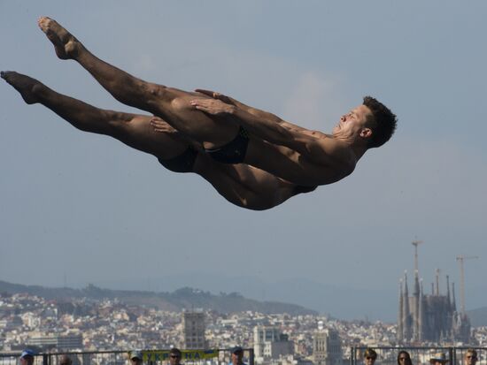 FINA World Aquatics Championships. Day 4. Synchronized diving.
