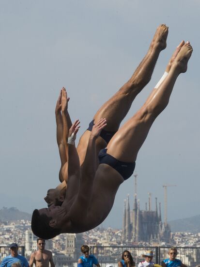 FINA World Aquatics Championships. Day 4. Synchronized diving.