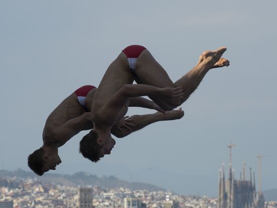 FINA World Aquatics Championships. Day 4. Synchronized diving.