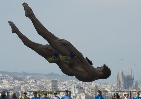 FINA World Aquatics Championships. Day 4. Synchronized diving.
