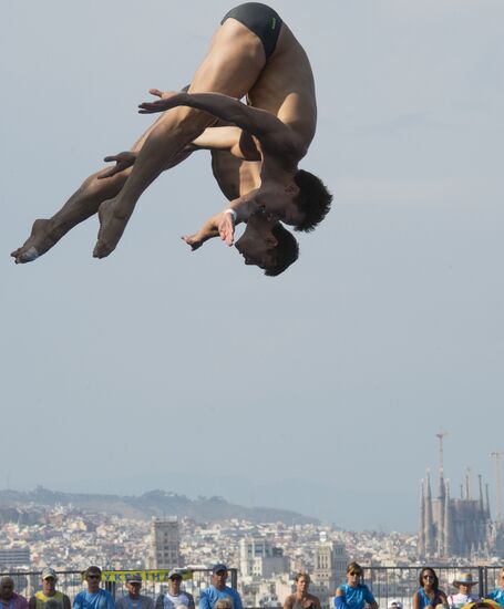 FINA World Aquatics Championships. Day 4. Synchronized diving.