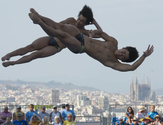 FINA World Aquatics Championships. Day 4. Synchronized diving.