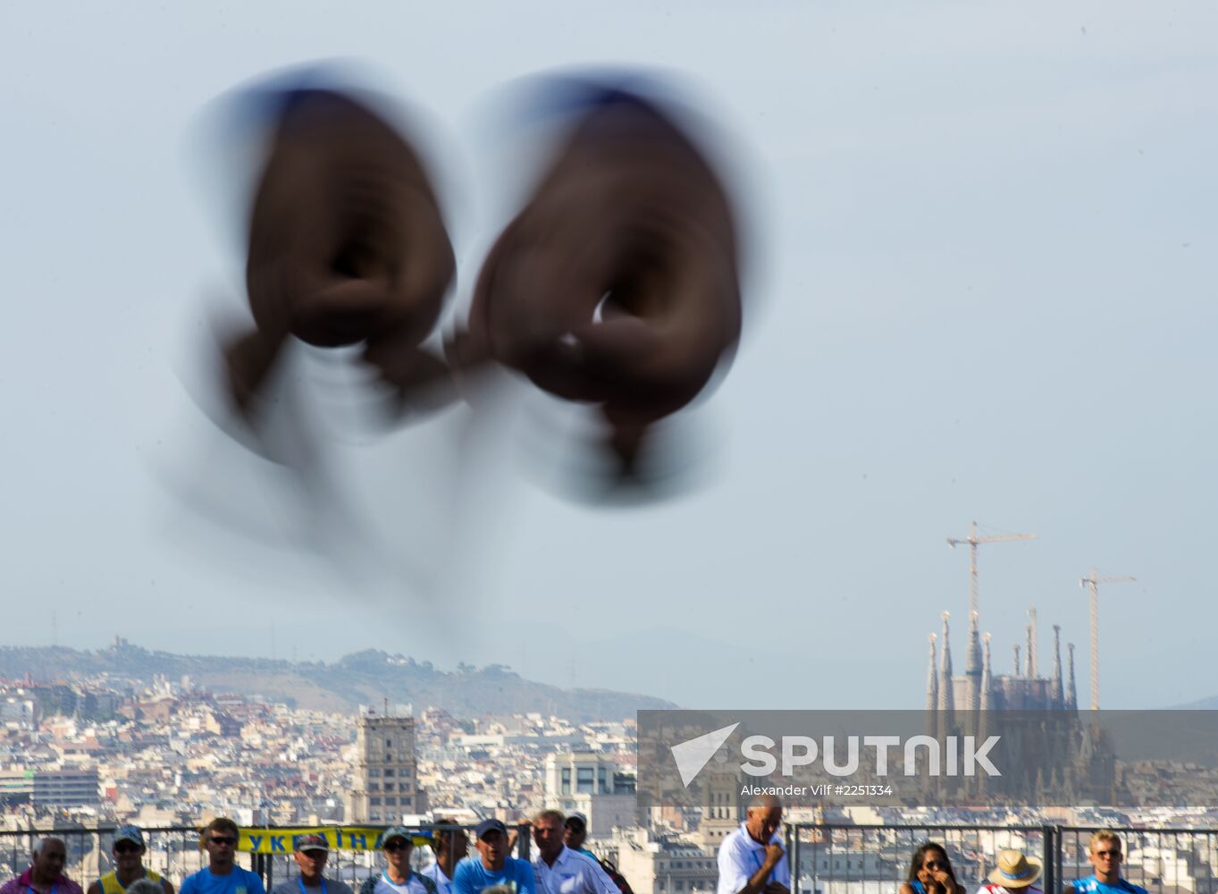 FINA World Aquatics Championships. Day 4. Synchronized diving.