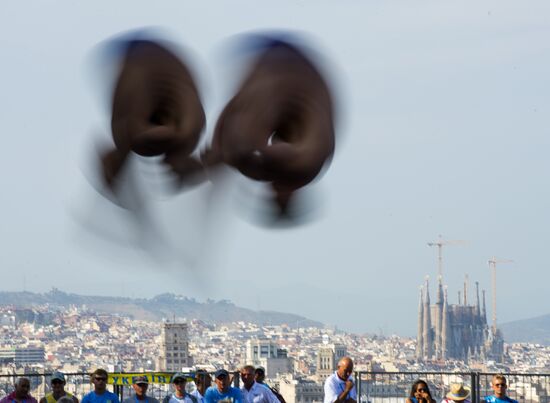 FINA World Aquatics Championships. Day 4. Synchronized diving.