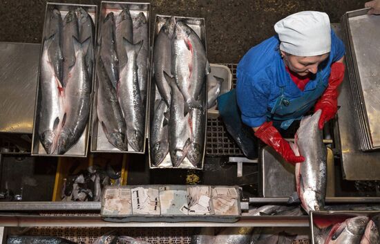 Fish processing factory