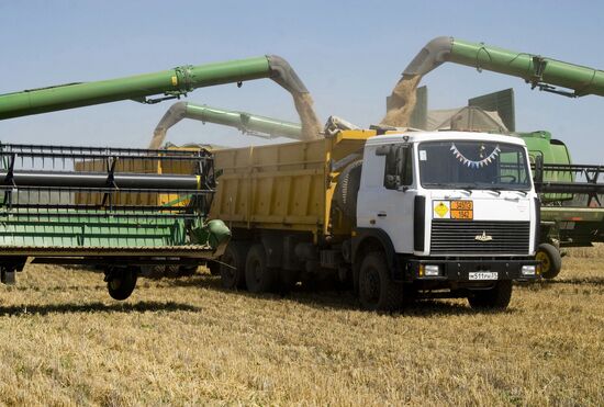 Grain harvesting in Belgorod Region