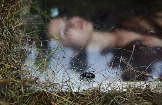 Festival "Archstoyanie 2013. Summer"