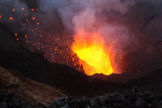 Tolbachik volcano erupts in Kamchatka