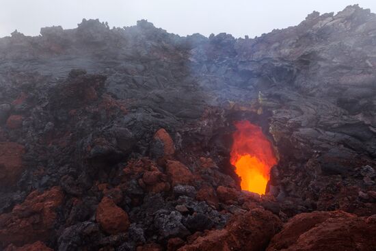 Tolbachik volcano erupts in Kamchatka