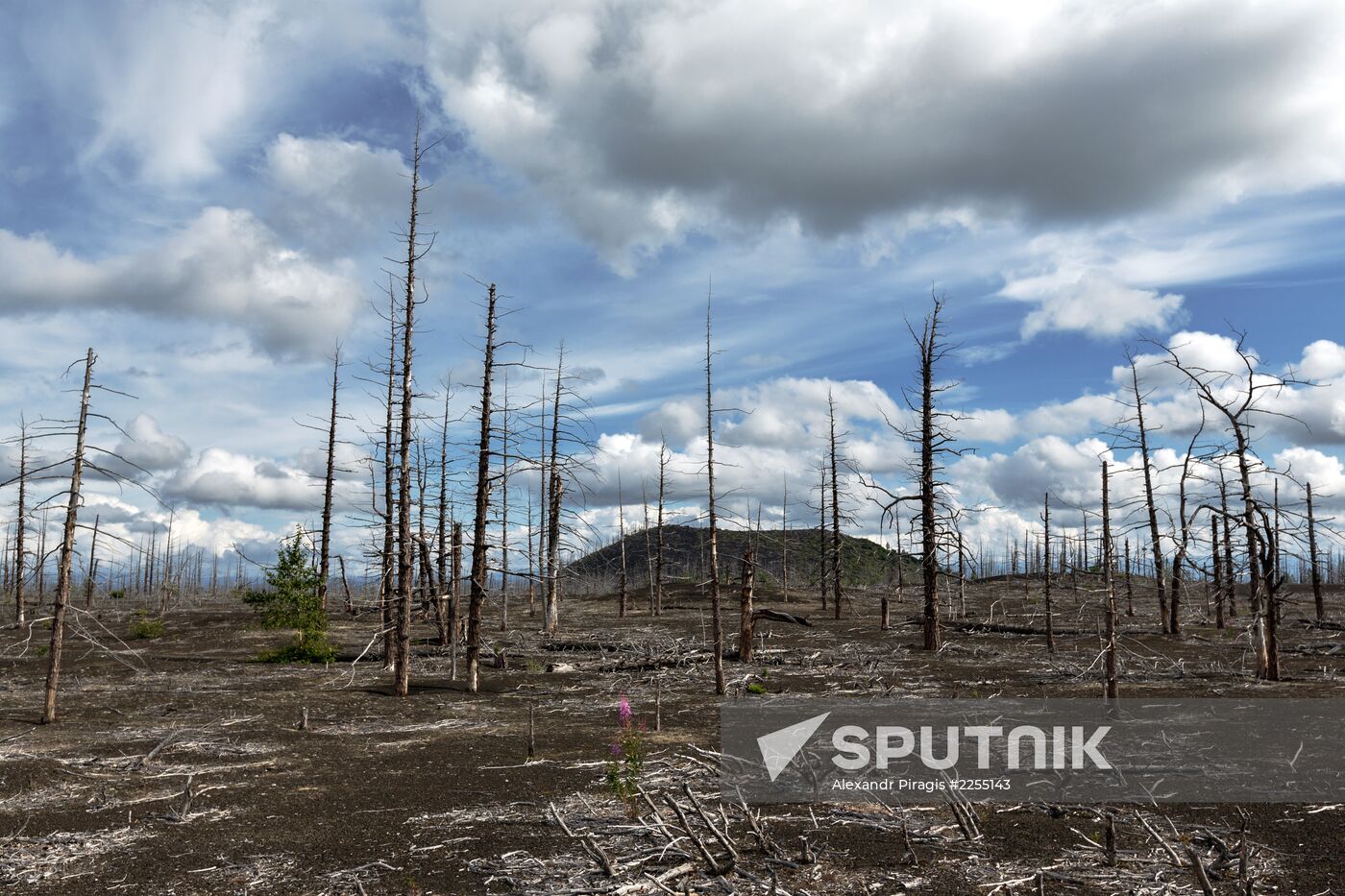 Tolbachik volcano erupts in Kamchatka