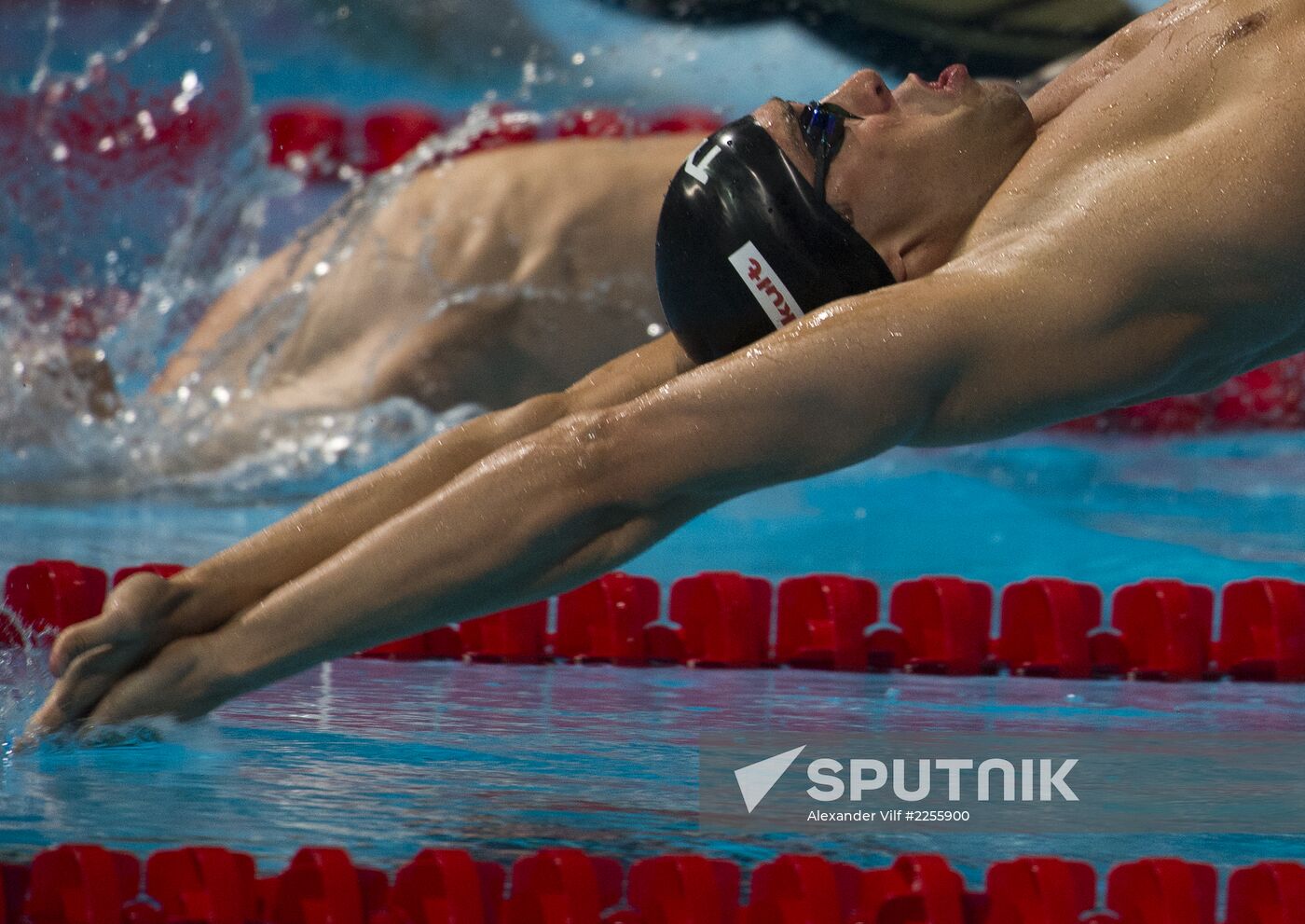 2013 World Aquatics Championships. Day 11. Swimming