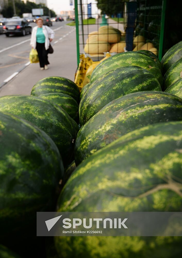 Watermelon and melon street vendors in Moscow