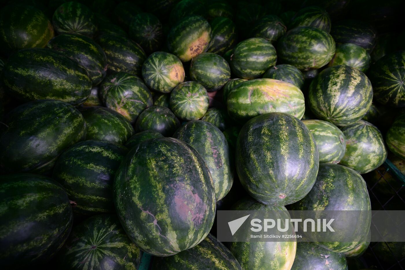 Watermelon and melon street vendors in Moscow