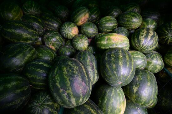 Watermelon and melon street vendors in Moscow