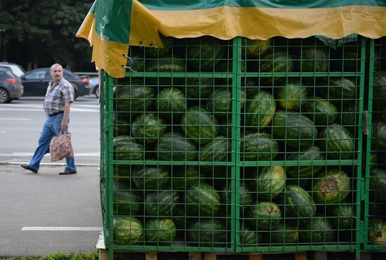 Watermelon and melon street vendors in Moscow