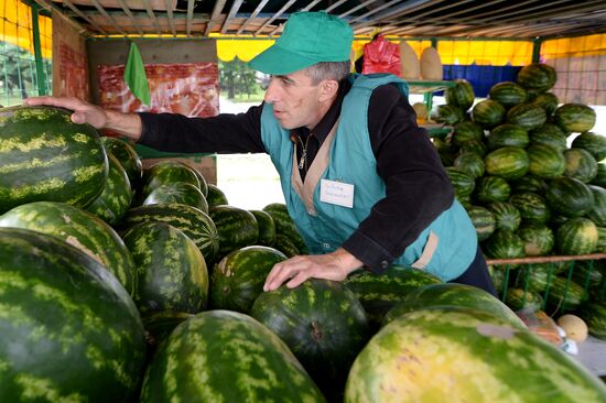 Watermelon and melon street vendors in Moscow