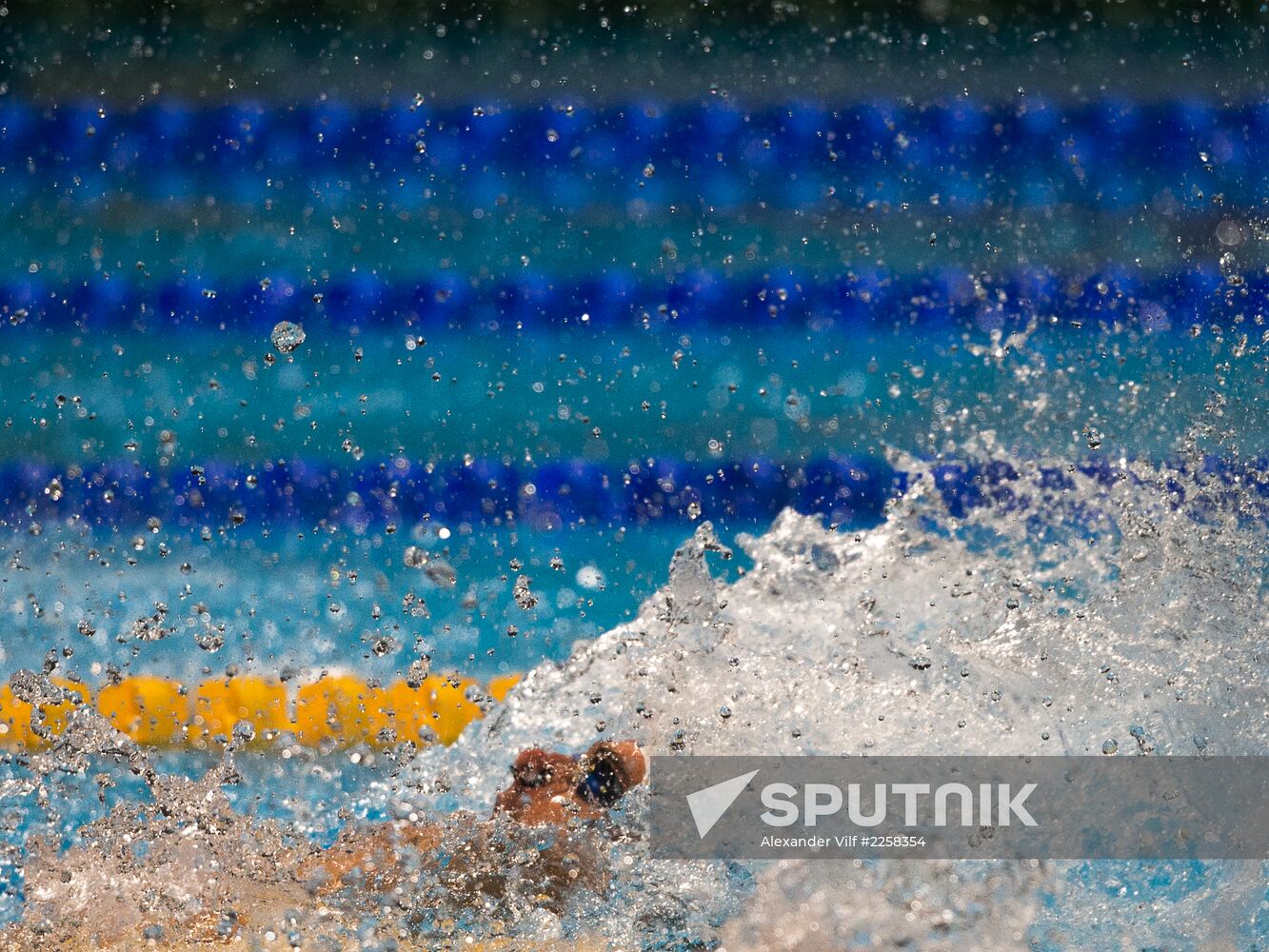 2013 World Aquatics Championships. Day 16. Swimming