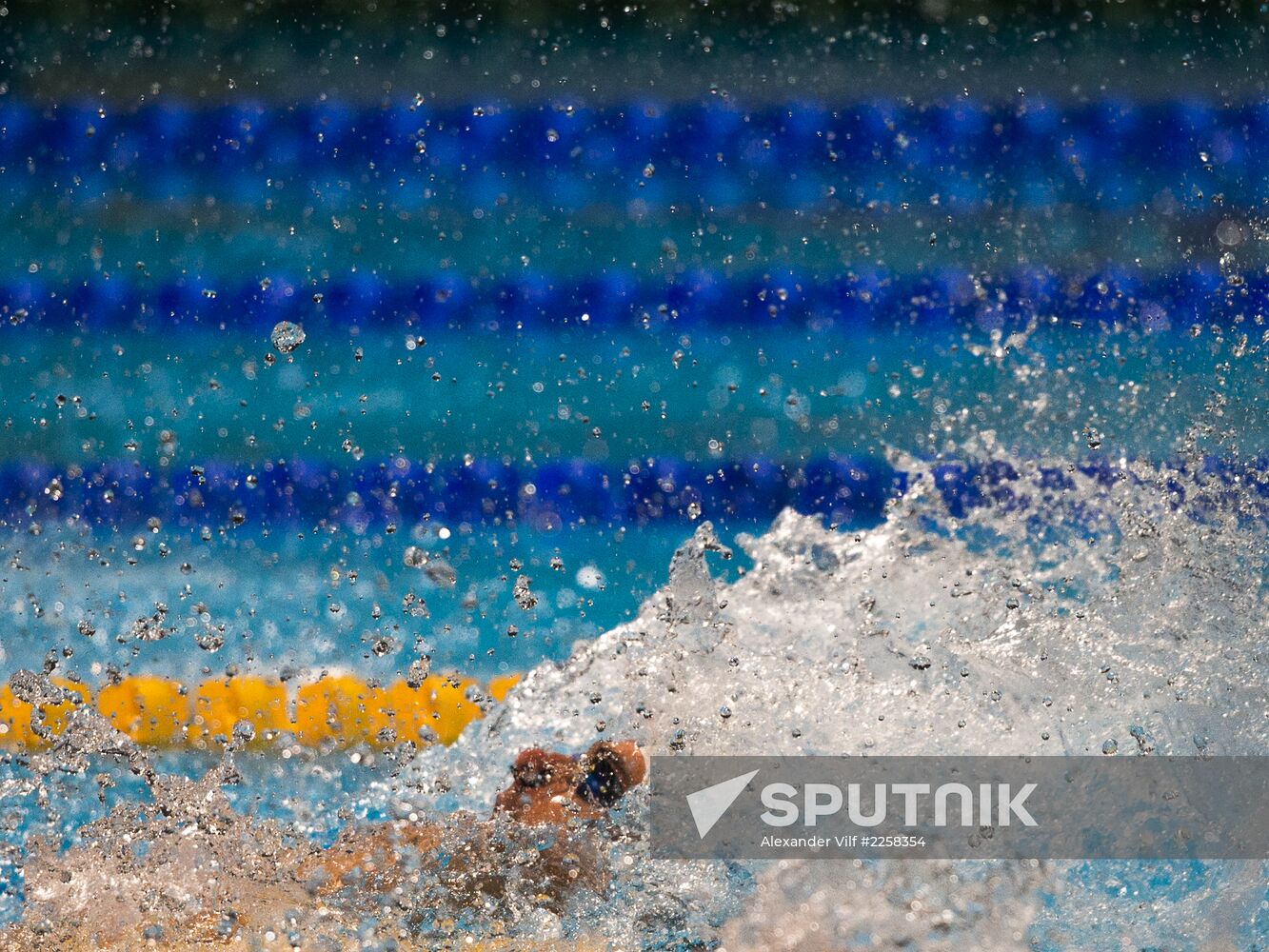 2013 World Aquatics Championships. Day 16. Swimming