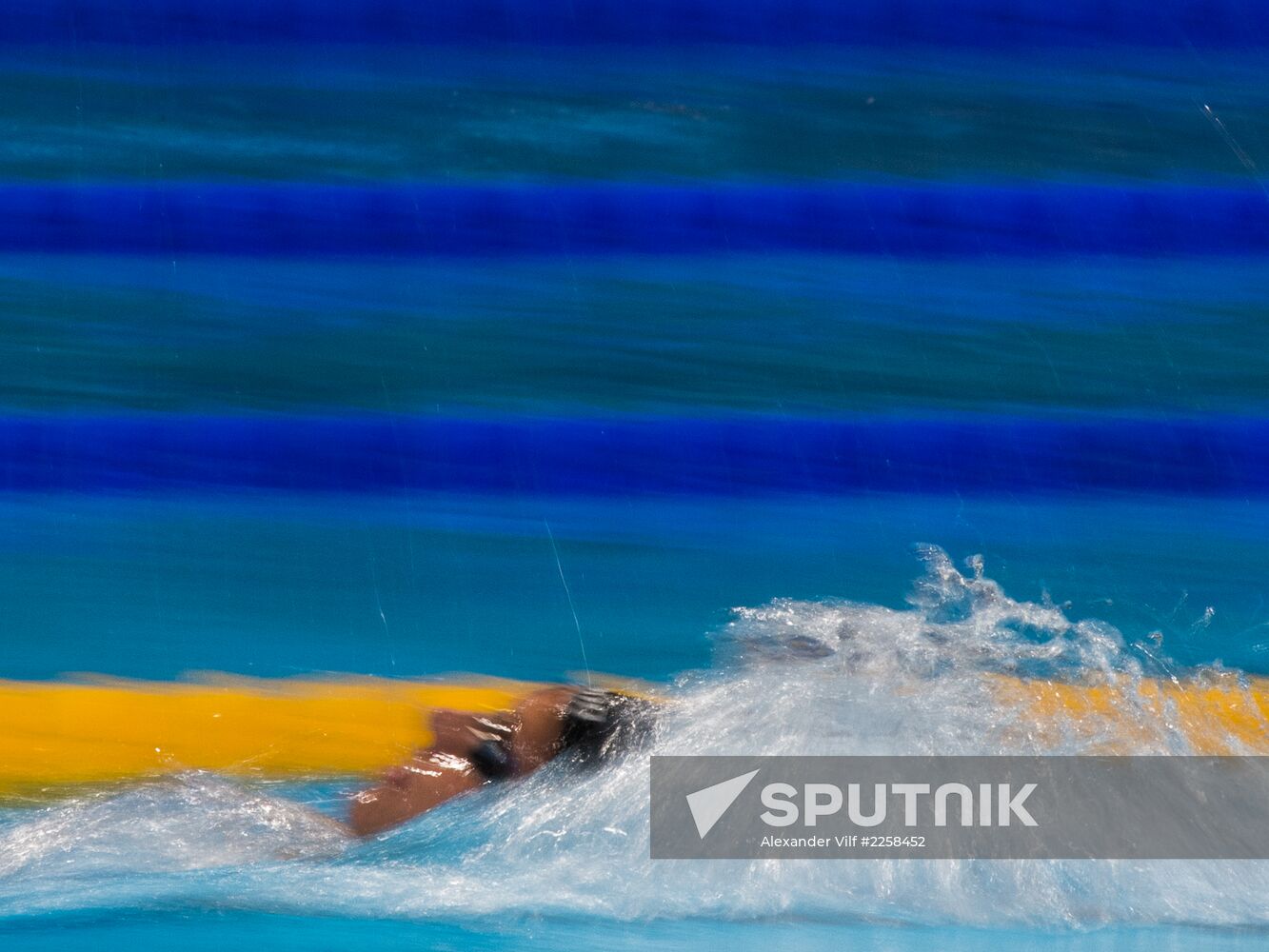 2013 World Aquatics Championships. Day 16. Swimming