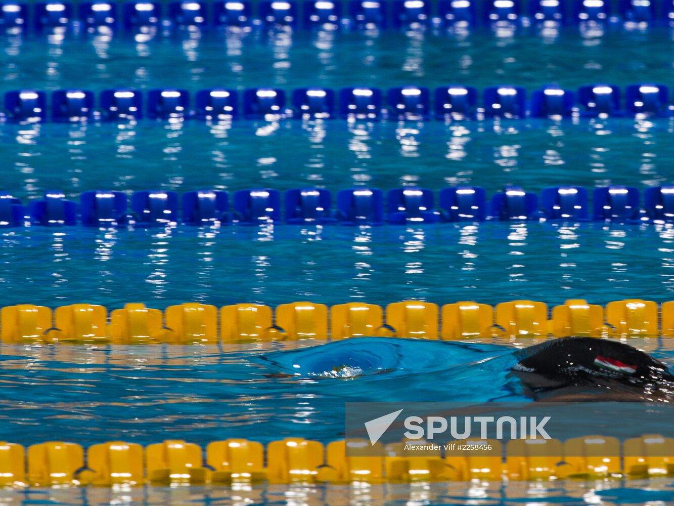 2013 World Aquatics Championships. Day 16. Swimming