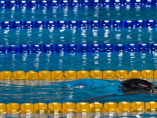 2013 World Aquatics Championships. Day 16. Swimming