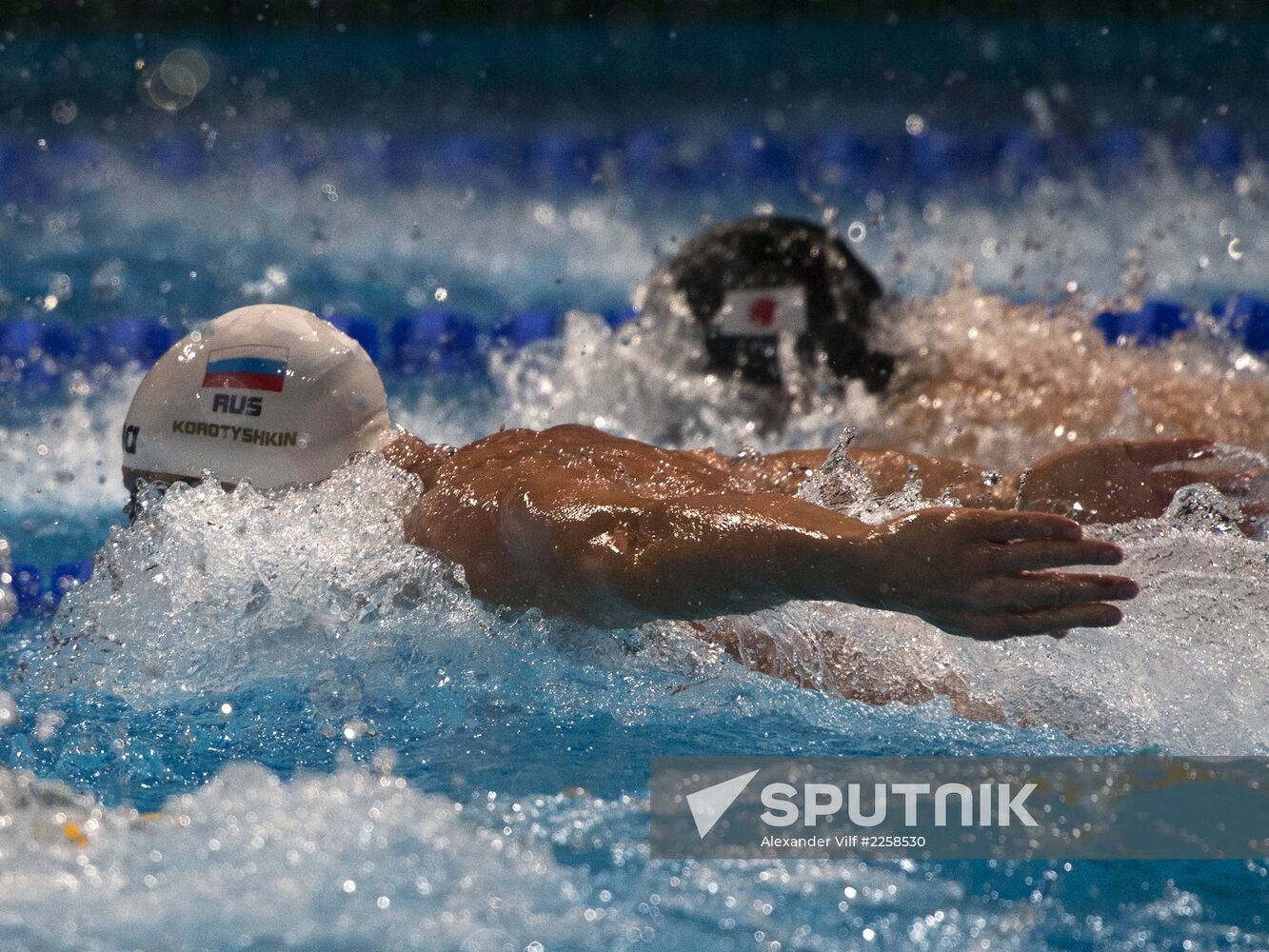 2013 World Aquatics Championships. Day 16. Swimming