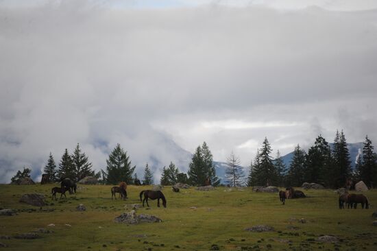 Russian Regions. Republic of Altai