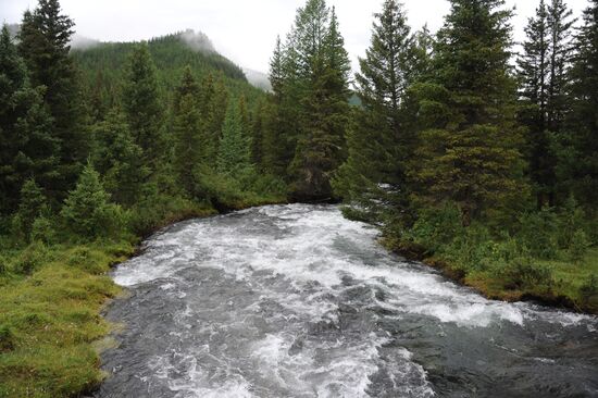 Russian Regions. Republic of Altai