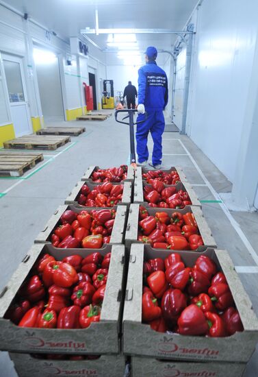 Logistics terminal opens in Rostov region