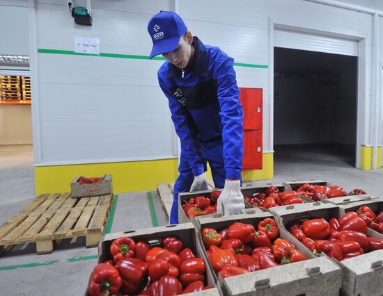Logistics terminal opens in Rostov region