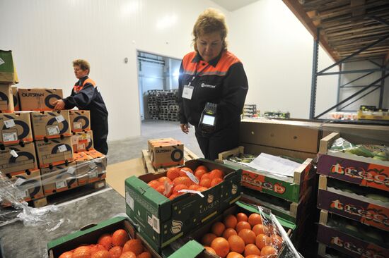 Logistics terminal opens in Rostov region