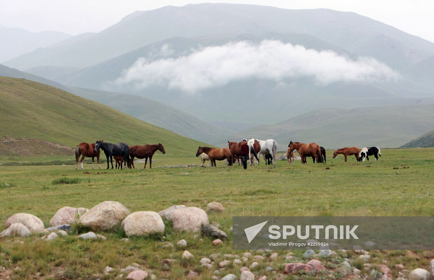 Mountain pasture in Suusamyr Valley