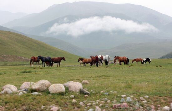 Mountain pasture in Suusamyr Valley