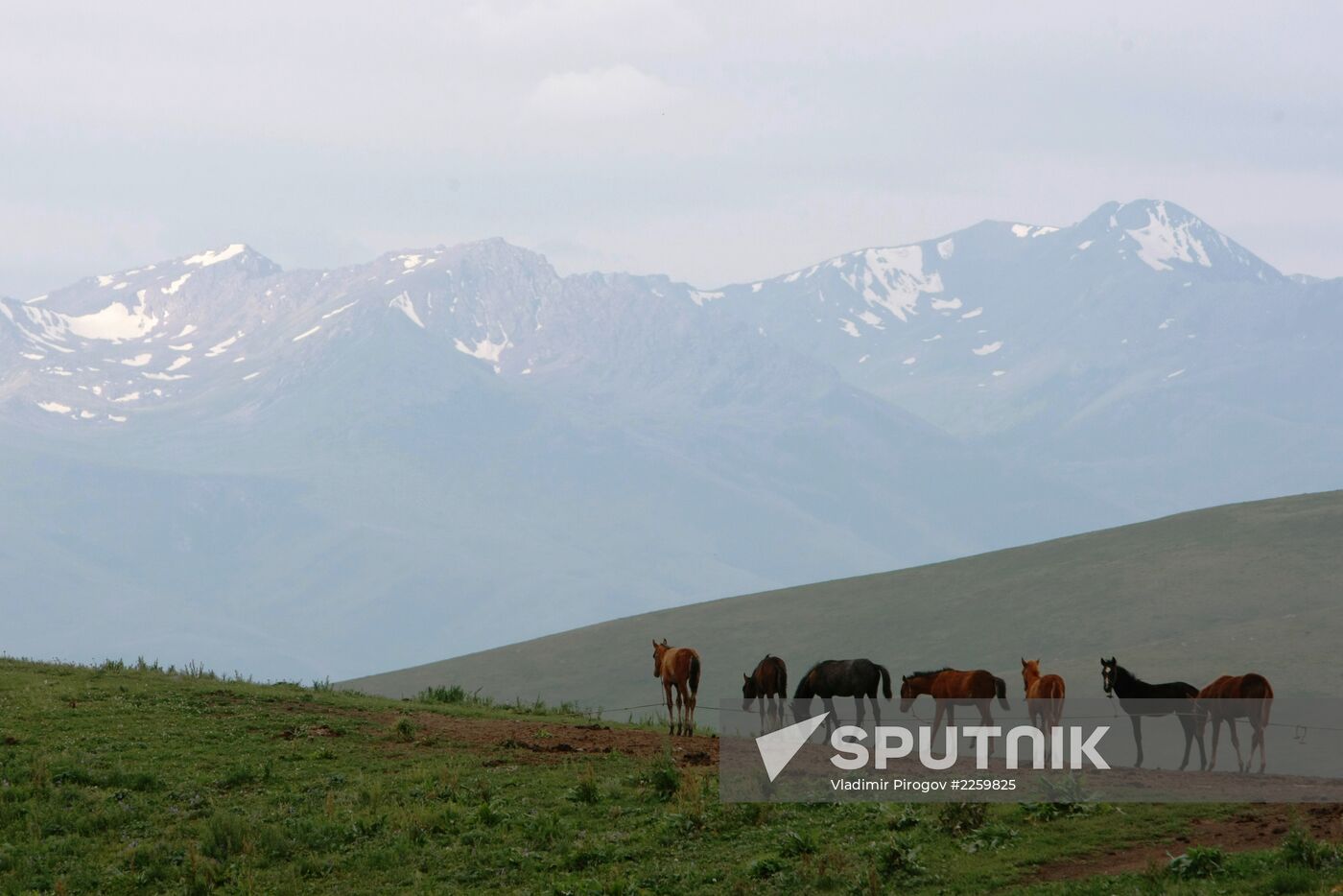 Mountain pasture in Suusamyr Valley