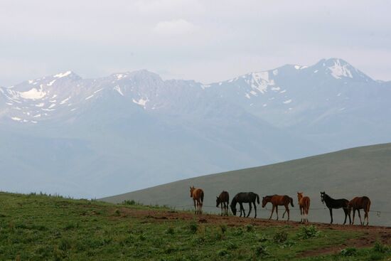 Mountain pasture in Suusamyr Valley